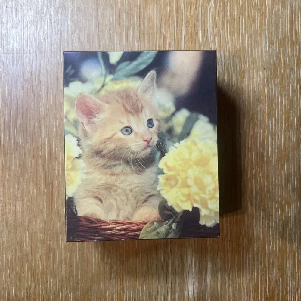 Vintage 1970's Souvenir Cedar Wood Trinket Box with‎ Kitten Engraved 'Minnesota'
